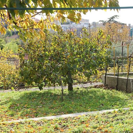 Il Gelsomino Villa Trieste Eksteriør bilde