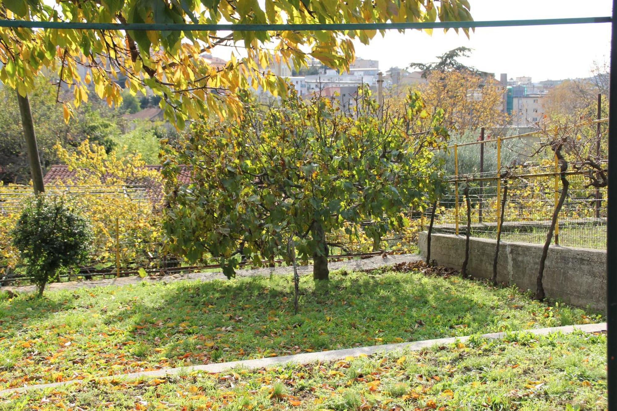 Il Gelsomino Villa Trieste Eksteriør bilde