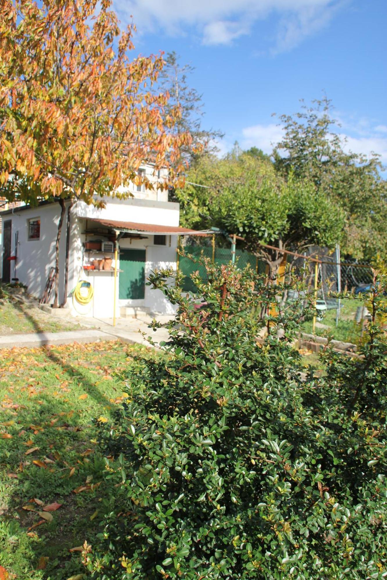 Il Gelsomino Villa Trieste Eksteriør bilde