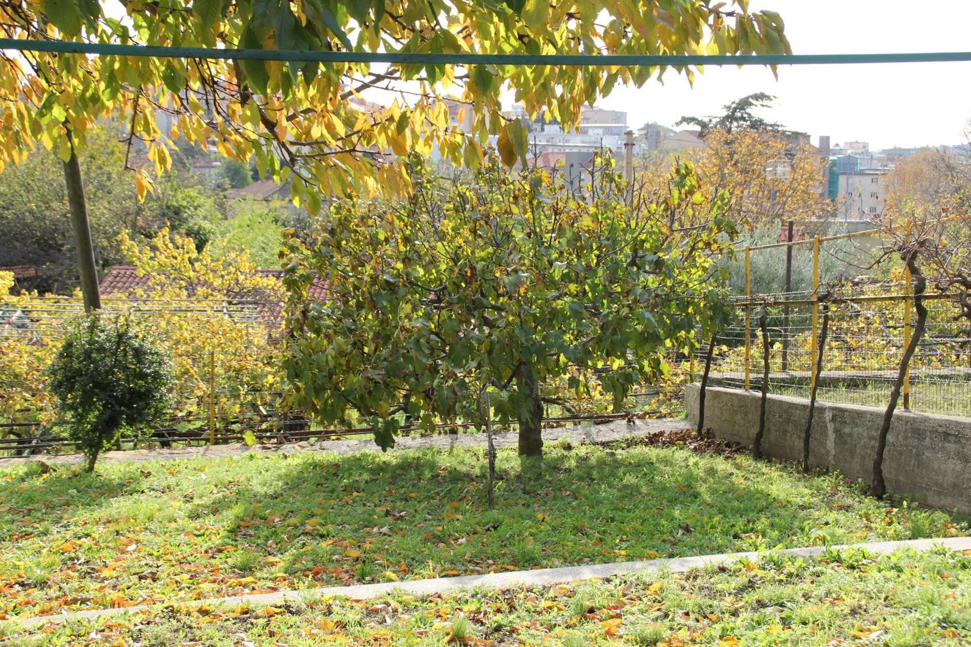 Il Gelsomino Villa Trieste Eksteriør bilde