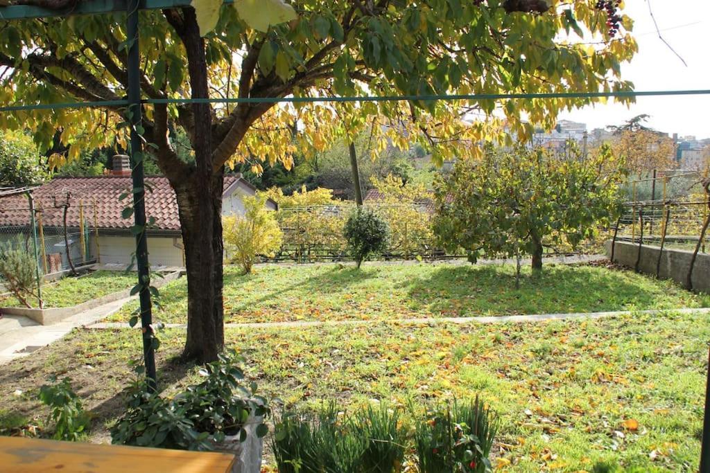 Il Gelsomino Villa Trieste Eksteriør bilde